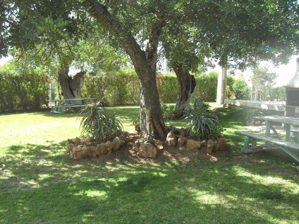 Tavira Garden 아파트 외부 사진